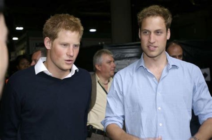 ‘Spare’: Prince Harry & William were ‘talked out of’ reopening Diana’s case