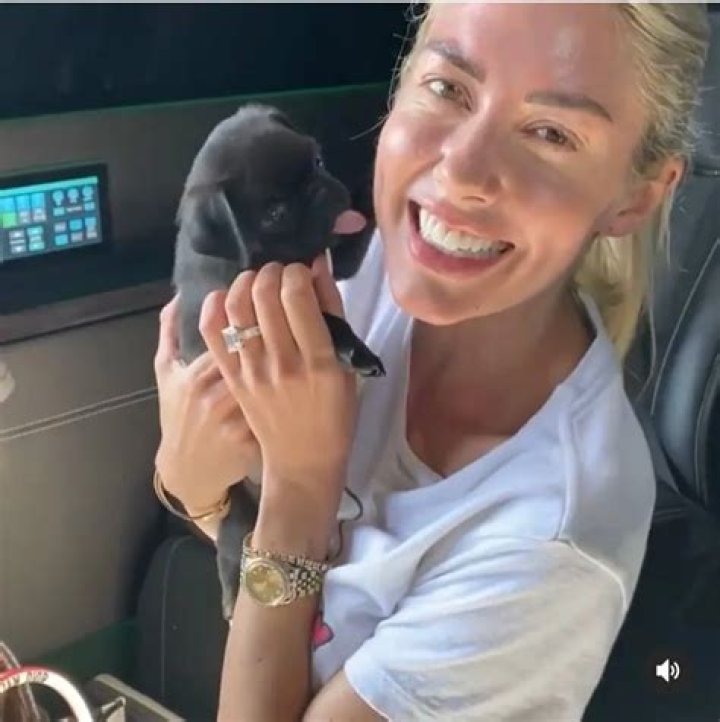 Tarek El Moussa Pets - Celebrity Pets