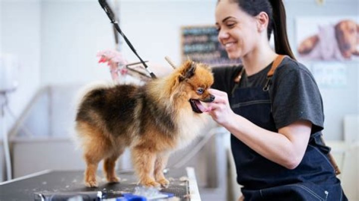 The famous celebrity professional dog groomer Jonathan David endorses CBD Dog Health products!