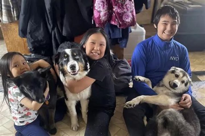 The Incredible Journey of Nanuq, the Australian Shepherd who Crossed the Bering Sea
