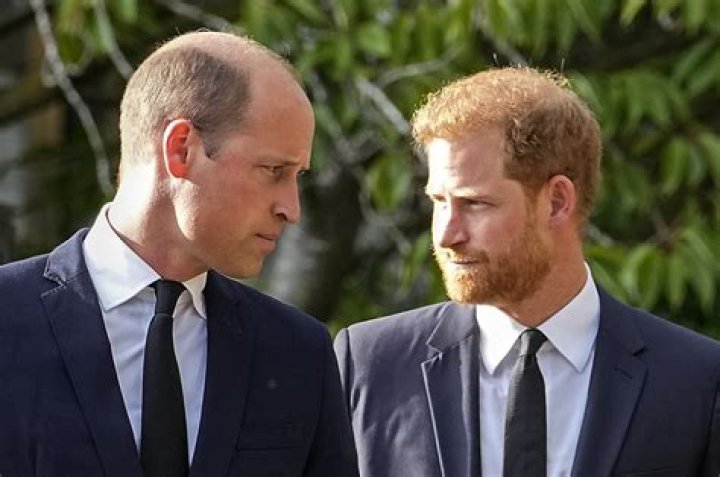 The Mail: Prince William’s ‘status as a reborn sex symbol is complete’ LMAO