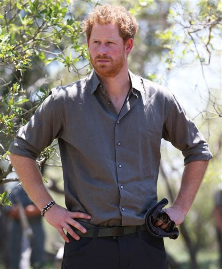 The Times: Prince Harry & William fought about Africa for years, you guys