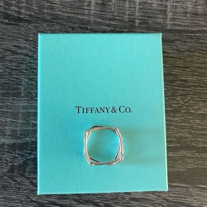 Tiffany & Co Frank Gehry launch party