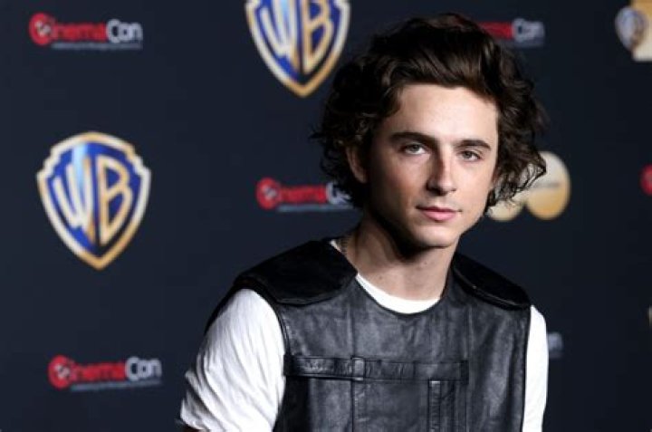 Timothée Chalamet Net Worth - Wiki, Age, Weight and Height, Relationships, Family, and More