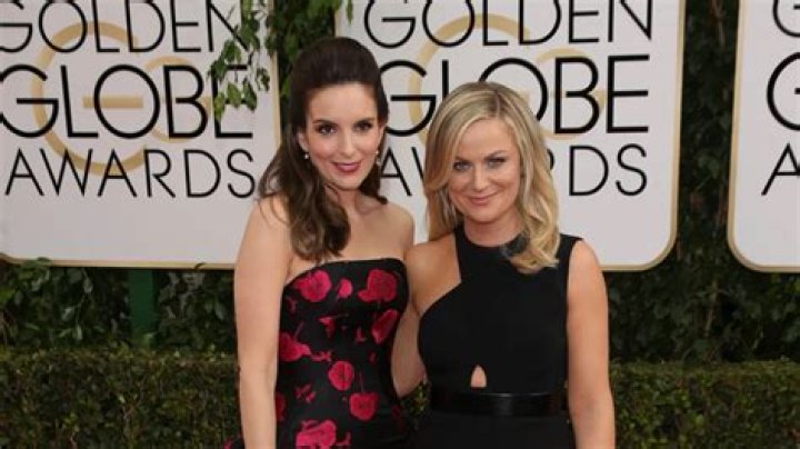 Tina Fey & Amy Poehler as Golden Globe hostesses: how did they do?