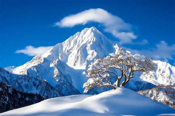 Tom Hiddleston: ‘I belong where there are mountains, snow & crisp blue skies’