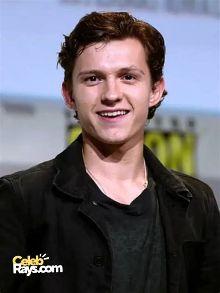 Tom Holland Bio (Wiki) 