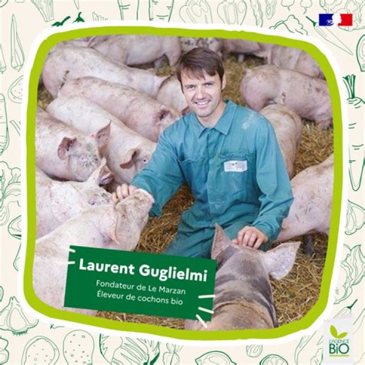 Tomasa Guglielmi Bio (Wiki) 