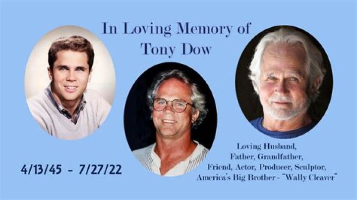Tony Dow Net Worth - Wiki, Age, Weight and Height, Relationships, Family, and More