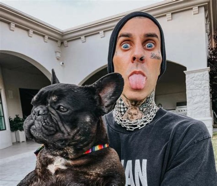 Travis Barker Pets - Celebrity Pets
