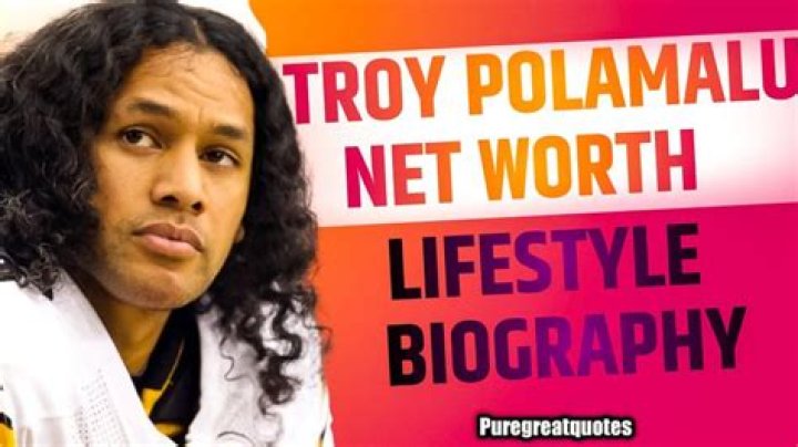 Troy Polamalu Bio (Wiki) 