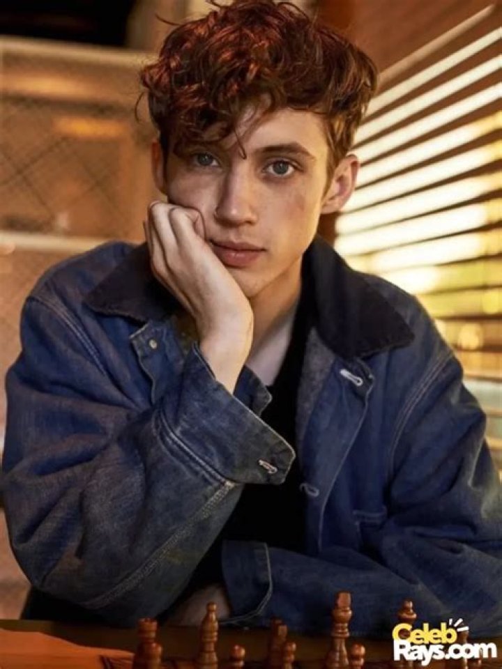 Troye Sivan Bio (Wiki) 