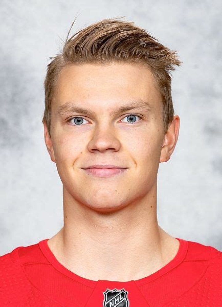 Vili Saarijärvi Bio (Wiki) 