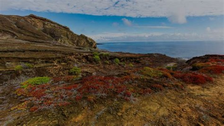 Visit Isla San Cristobal: Isla Lobos, Puerto Baquerizo Moreno & More | Celebrity Cruises