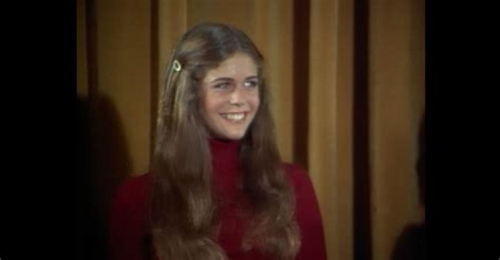 Was Rita Wilson in The Brady Bunch?
