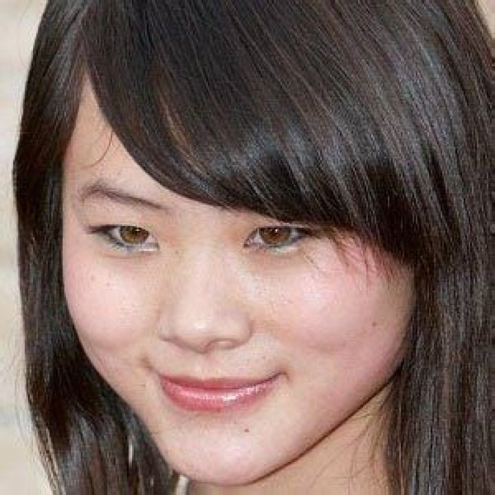 Wenwen Han Bio (Wiki) 
