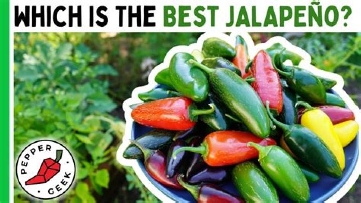 What's the best tasting pepper?