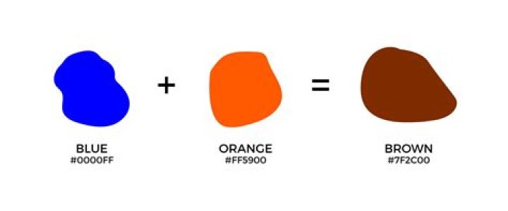 What colors does Fusion paint come in?
