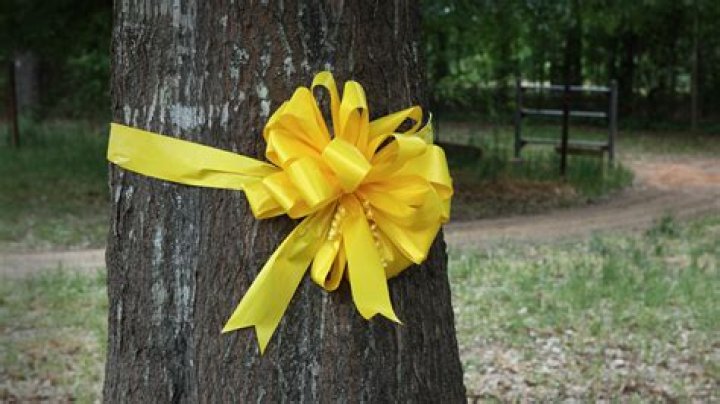 What does a pink ribbon around a tree mean?