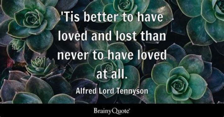 What does Tis better to have loved and lost than never to have loved at all mean?