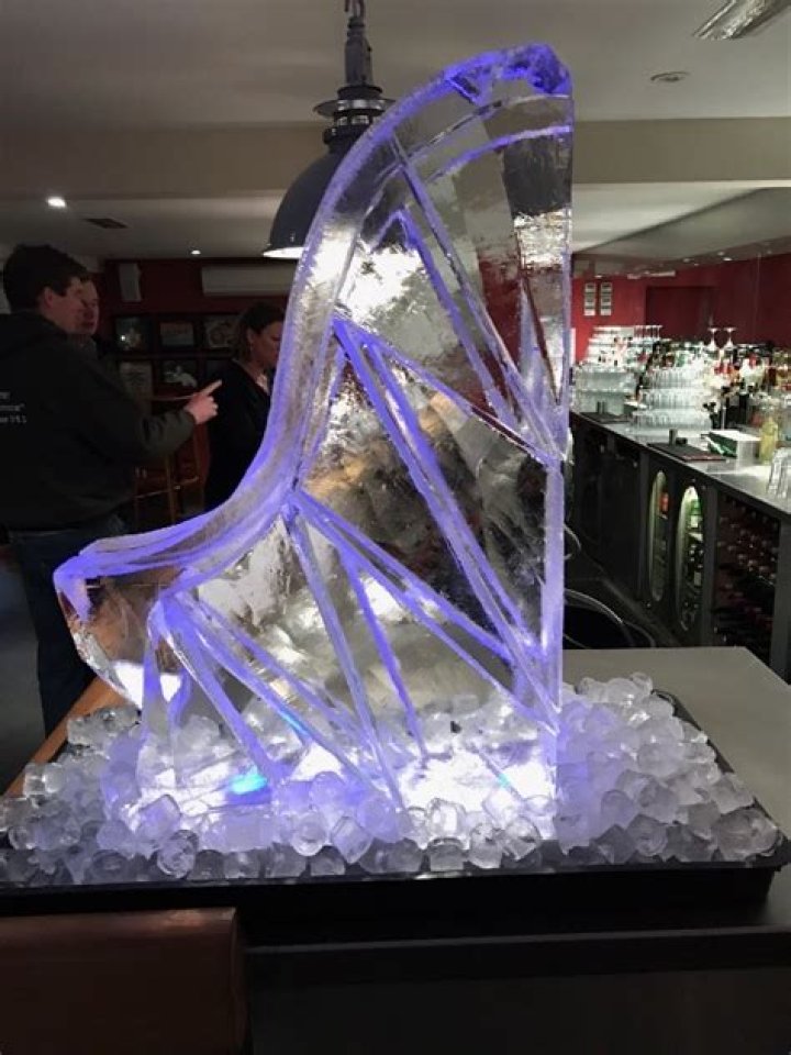 What is a shot luge?