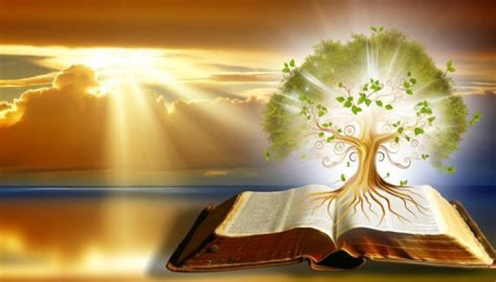 What is beget in the Bible?