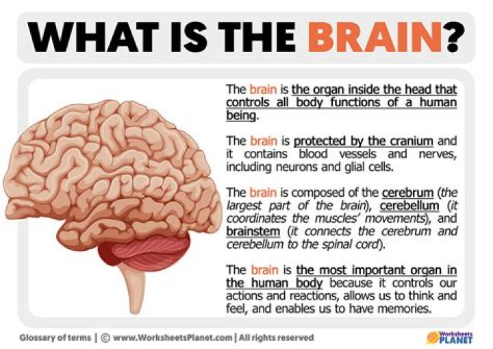 What is brain trust Great Depression?