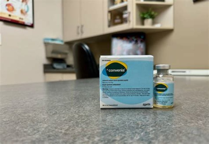 What is Convenia injection for?