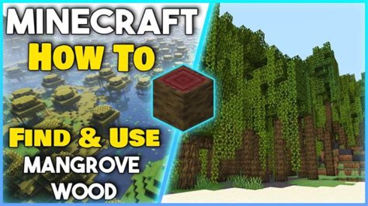 What is Mangrove Log in Minecraft?