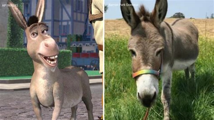 What is Shrek’s donkey called?