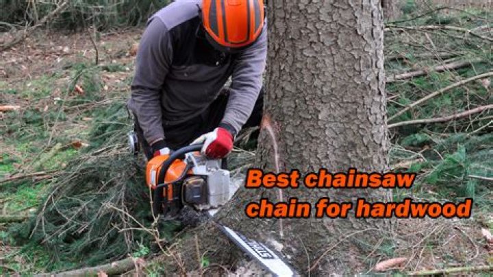 What is the best chainsaw chain for hardwood?