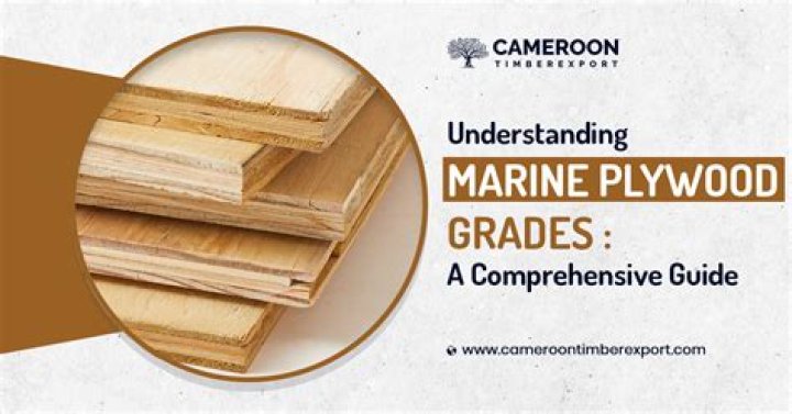 What is the difference between marine grade plywood and pressure treated plywood?