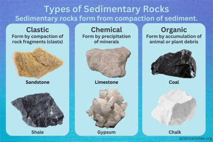 What is the single most common and characteristic feature of sedimentary rocks quizlet?