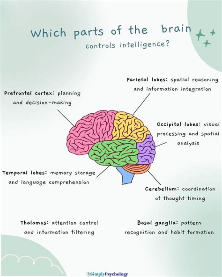What part of the brain controls alertness and arousal?