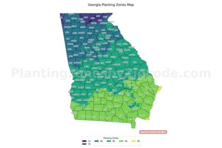 What planting zone is Marietta Georgia?