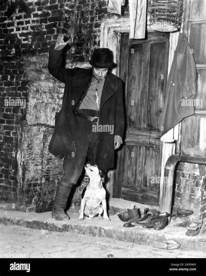 What was the name of Bill Sykes dog in Oliver?