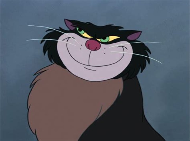 What was the name of the cat in Cinderella?
