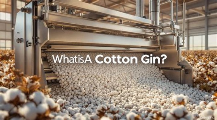 What were the disadvantages of the cotton gin?