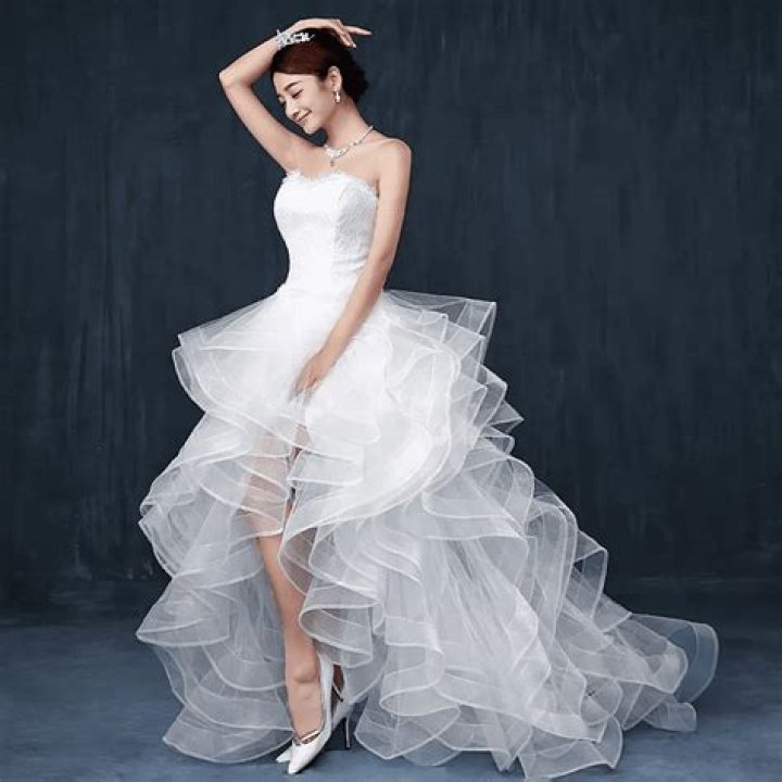 Whitney Port’s custom-made mullet wedding gown: tragic, budget or lovely?