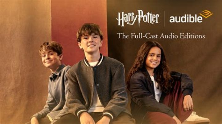 Who voices the characters in the Netflix movie?