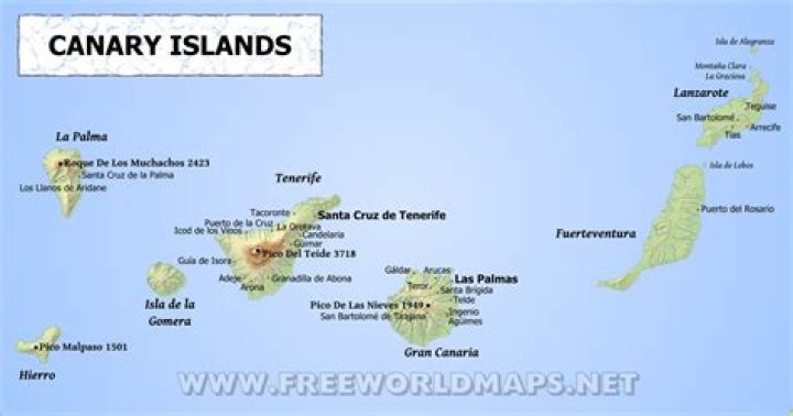 Why are they called the Canary Islands?