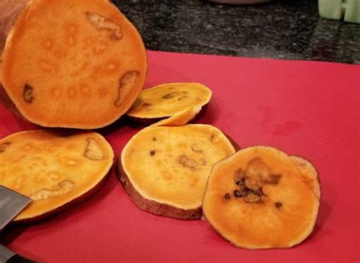 Why do my sweet potatoes have holes in them?