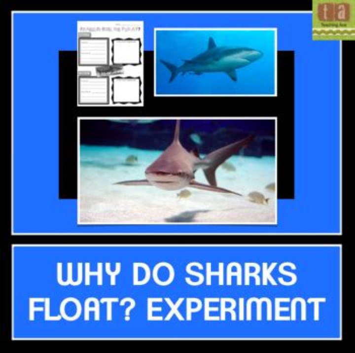 Why do sharks float experiment?